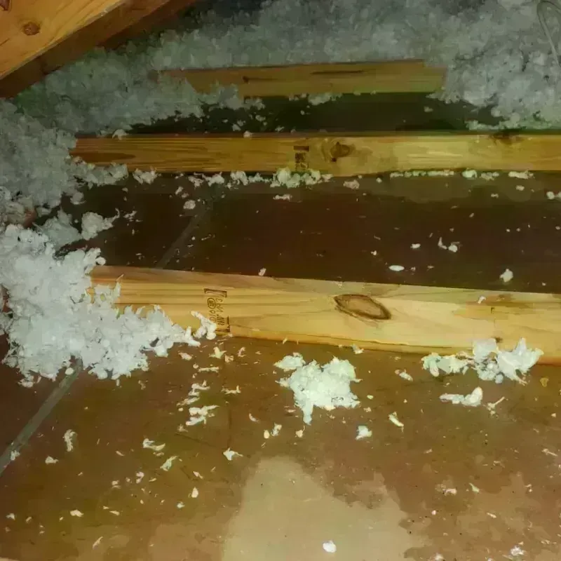 Attic Water Damage in Home, WA