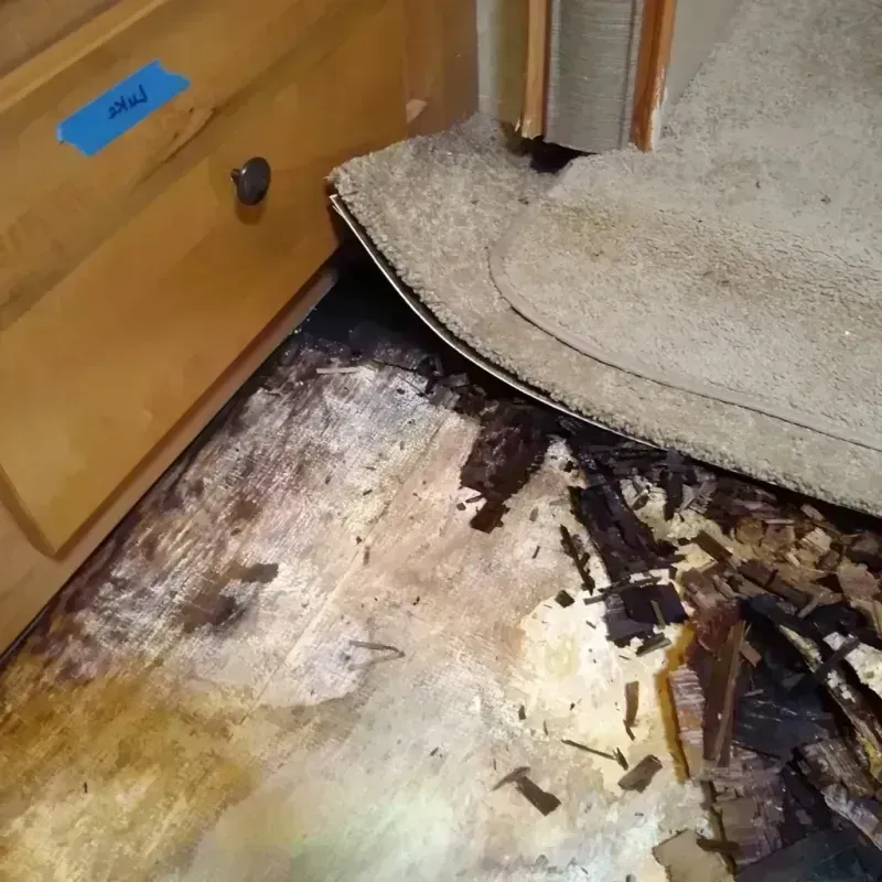 Wood Floor Water Damage in Home, WA